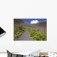 Hawaii, Maui, Haleakala, The hiking trail through the Volcanic Crater Wall Mural