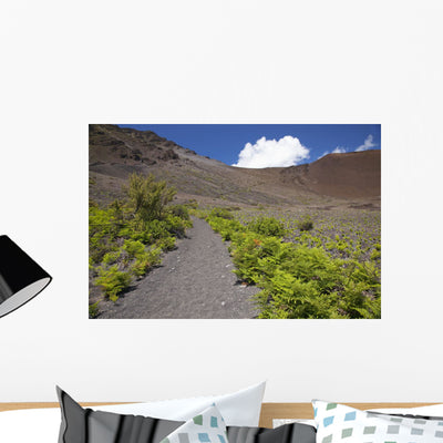 Hawaii Maui Haleakala Hiking Wall Mural shown on a wall