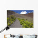 Hawaii, Maui, Haleakala, The hiking trail through the Volcanic Crater Wall Mural