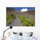 Hawaii, Maui, Haleakala, The hiking trail through the Volcanic Crater Wall Mural