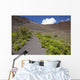 Hawaii, Maui, Haleakala, The hiking trail through the Volcanic Crater Wall Mural