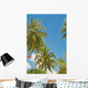 Thailand, Phuket, Vibrant palm trees and clear blue sky Wall Mural