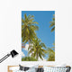 Thailand, Phuket, Vibrant palm trees and clear blue sky Wall Mural