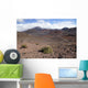 Hawaii, Maui, Haleakala, The long trail ahead on the crater floor Wall Mural