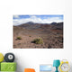 Hawaii, Maui, Haleakala, The long trail ahead on the crater floor Wall Mural