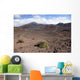 Hawaii, Maui, Haleakala, The long trail ahead on the crater floor Wall Mural