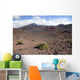 Hawaii, Maui, Haleakala, The long trail ahead on the crater floor Wall Mural