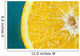 Studio shot of an orange half on a blue background Wall Mural