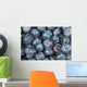 Close up shot of several fresh blueberries Wall Mural
