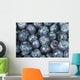 Close up shot of several fresh blueberries Wall Mural