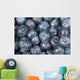 Close up shot of several fresh blueberries Wall Mural