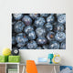 Close up shot of several fresh blueberries Wall Mural