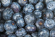 Close up shot of several fresh blueberries Wall Mural