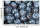 Close up shot of several fresh blueberries Wall Mural