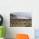 Hawaii, Maui, Haleakala, Crater, A bright, colorful rainbow Wall Mural