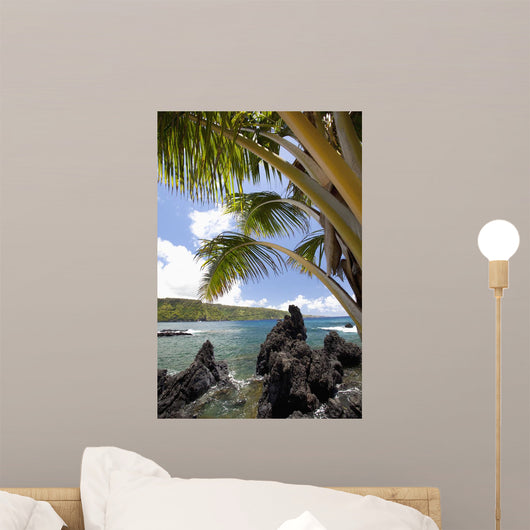 Sunny blue skies light up the lush coast with palm trees Wall Mural
