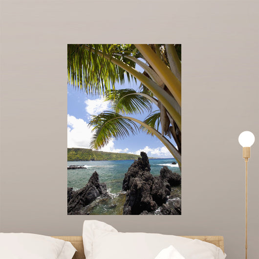 Sunny blue skies light up the lush coast with palm trees Wall Mural