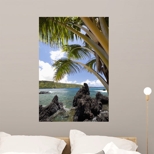 Sunny blue skies light up the lush coast with palm trees Wall Mural