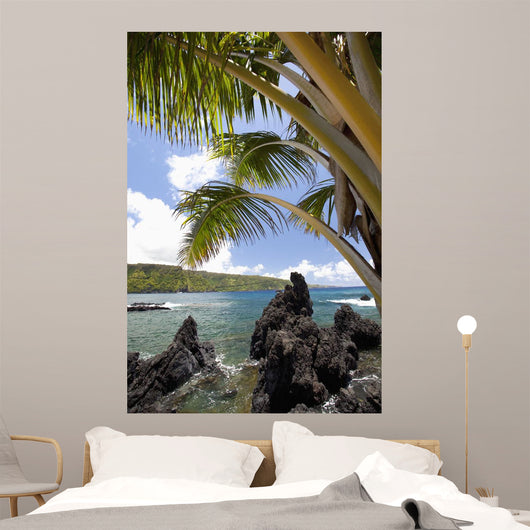 Sunny blue skies light up the lush coast with palm trees Wall Mural