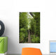 Hawaii, Maui, Waihee, A swinging Bridge into a lush green forest Wall Mural
