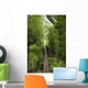 Hawaii, Maui, Waihee, A swinging Bridge into a lush green forest Wall Mural