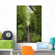 Hawaii, Maui, Waihee, A swinging Bridge into a lush green forest Wall Mural