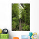 Hawaii, Maui, Waihee, A swinging Bridge into a lush green forest Wall Mural