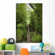 Hawaii, Maui, Waihee, A swinging Bridge into a lush green forest Wall Mural