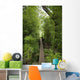 Hawaii, Maui, Waihee, A swinging Bridge into a lush green forest Wall Mural