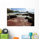 Hawaii, Maui, Hana, A sunny view of Koki Beach on a calm day Wall Mural