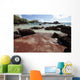 Hawaii, Maui, Hana, A sunny view of Koki Beach on a calm day Wall Mural