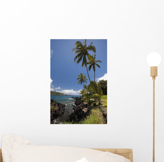 Palm trees and sunny blue sky on the Keanae coast Wall Mural
