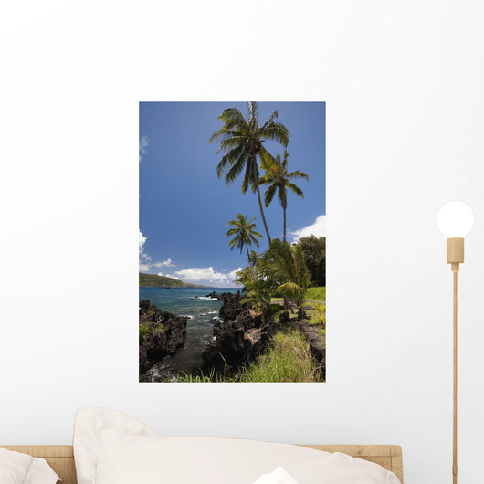 Palm trees and sunny blue sky on the Keanae coast Wall Mural
