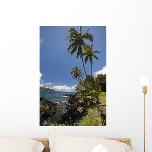 Palm trees and sunny blue sky on the Keanae coast Wall Mural