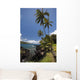Palm trees and sunny blue sky on the Keanae coast Wall Mural