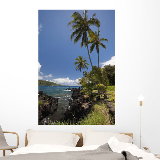 Palm trees and sunny blue sky on the Keanae coast Wall Mural