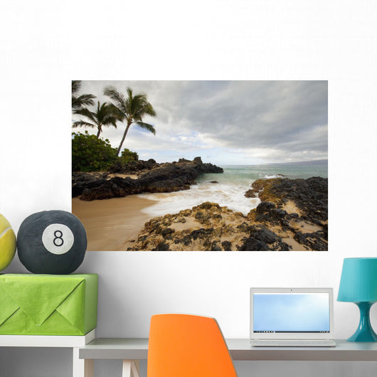 Hawaii, Maui, Makena Cove, Tropical beach and palm trees Wall Mural