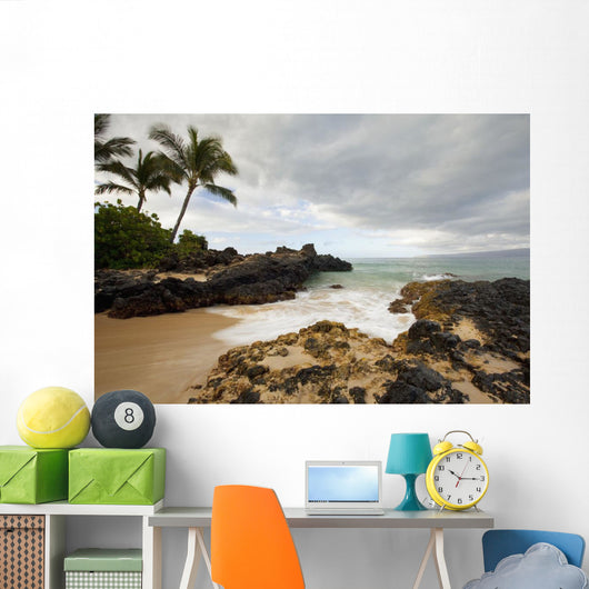 Hawaii, Maui, Makena Cove, Tropical beach and palm trees Wall Mural