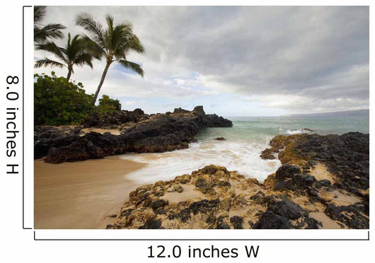 Hawaii, Maui, Makena Cove, Tropical beach and palm trees Wall Mural