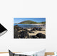 Hawaii, Maui, Volcanic rocks at Big Beach Wall Mural