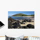 Hawaii, Maui, Volcanic rocks at Big Beach Wall Mural