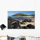 Hawaii, Maui, Volcanic rocks at Big Beach Wall Mural