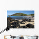 Hawaii, Maui, Volcanic rocks at Big Beach Wall Mural