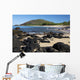 Hawaii, Maui, Volcanic rocks at Big Beach Wall Mural