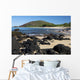 Hawaii, Maui, Volcanic rocks at Big Beach Wall Mural