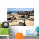 Hawaii, Maui, Makena, Beautiful clear ocean among lava rock Wall Mural