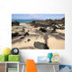 Hawaii, Maui, Makena, Beautiful clear ocean among lava rock Wall Mural