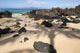 Hawaii, Maui, Makena, Beautiful clear ocean among lava rock Wall Mural
