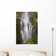 Hawaii, Maui, Kipahulu, Wailua falls Wall Mural