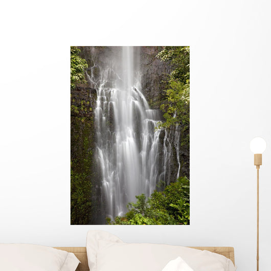 Hawaii, Maui, Kipahulu, Wailua falls Wall Mural